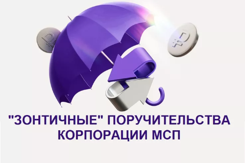 Зонтичные поручительства Корпорации МСП