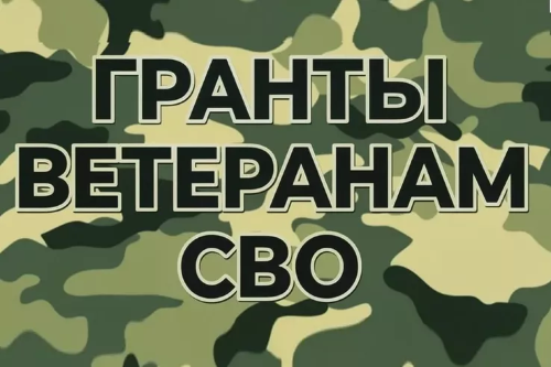 Гранты ветеранам СВО